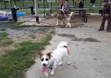 Dog Park at King Farm