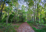 Tilden Woods Local Park