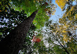 Tilden Woods Local Park