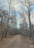 Tilden Woods Local Park