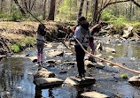 Tilden Woods Local Park