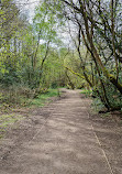 Brinscall Park And Lake