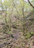 Brinscall Park And Lake