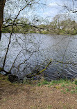 Brinscall Park And Lake