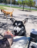 Sylvia Holden Dog Park