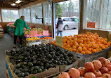 Urban Farm Market