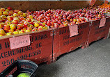 Urban Farm Market