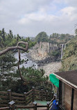 Jeju, Seogwipo Jeongbang Waterfall