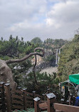 Jeju, Seogwipo Jeongbang Waterfall