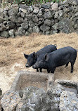 Jeju Folk Village