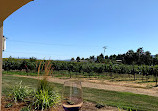 Verde Vineyards