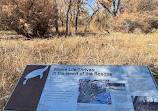 Rio Grande Nature Center State Park