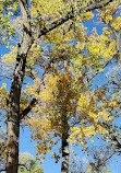 Rio Grande Nature Center State Park