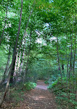 Carlstrom Memorial Forest