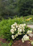 Garden of remembrance