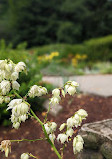 Garden of remembrance