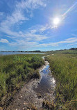 Audubon Lathrop Wildlife Refuge