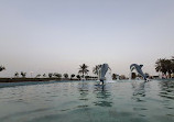 Dolphin Park