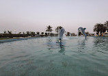 Dolphin Park