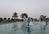 Dolphin Park