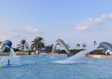 Dolphin Park