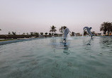 Dolphin Park