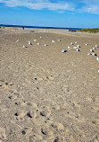 Walnut Beach Park