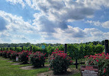 Blue Cork Winery and Vineyard