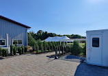 Blue Cork Winery and Vineyard