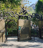 Зоопарк В Центральном парке