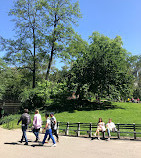 Zoológico do Central Park