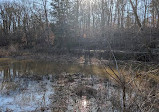 Dunbar Cave State Park