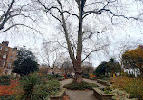 Canonbury Square Gardens