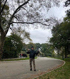 Parque Theodore Roosevelt