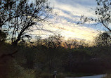 San Antonio River