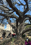 San Antonio River Walk