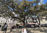 San Antonio River Walk