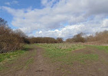 Rose Walk Nature Reserve