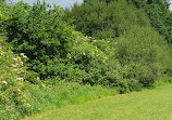 Berrylands Nature Reserve