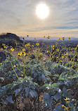 Box Springs Mountain Reserve Park