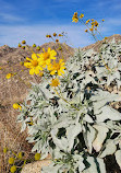 Box Springs Mountain Reserve Park