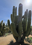 Jurupa Mountains Discovery Center