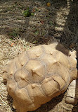 Jurupa Mountains Discovery Center