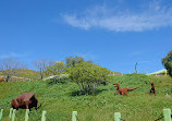 Jurupa Mountains Discovery Center