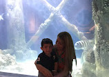 Downtown Aquarium