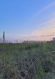 Cherry Grove Oceanfront Park