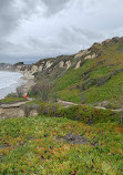 Santa Barbara Shores Park