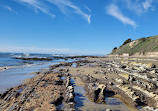 Santa Barbara Shores Park