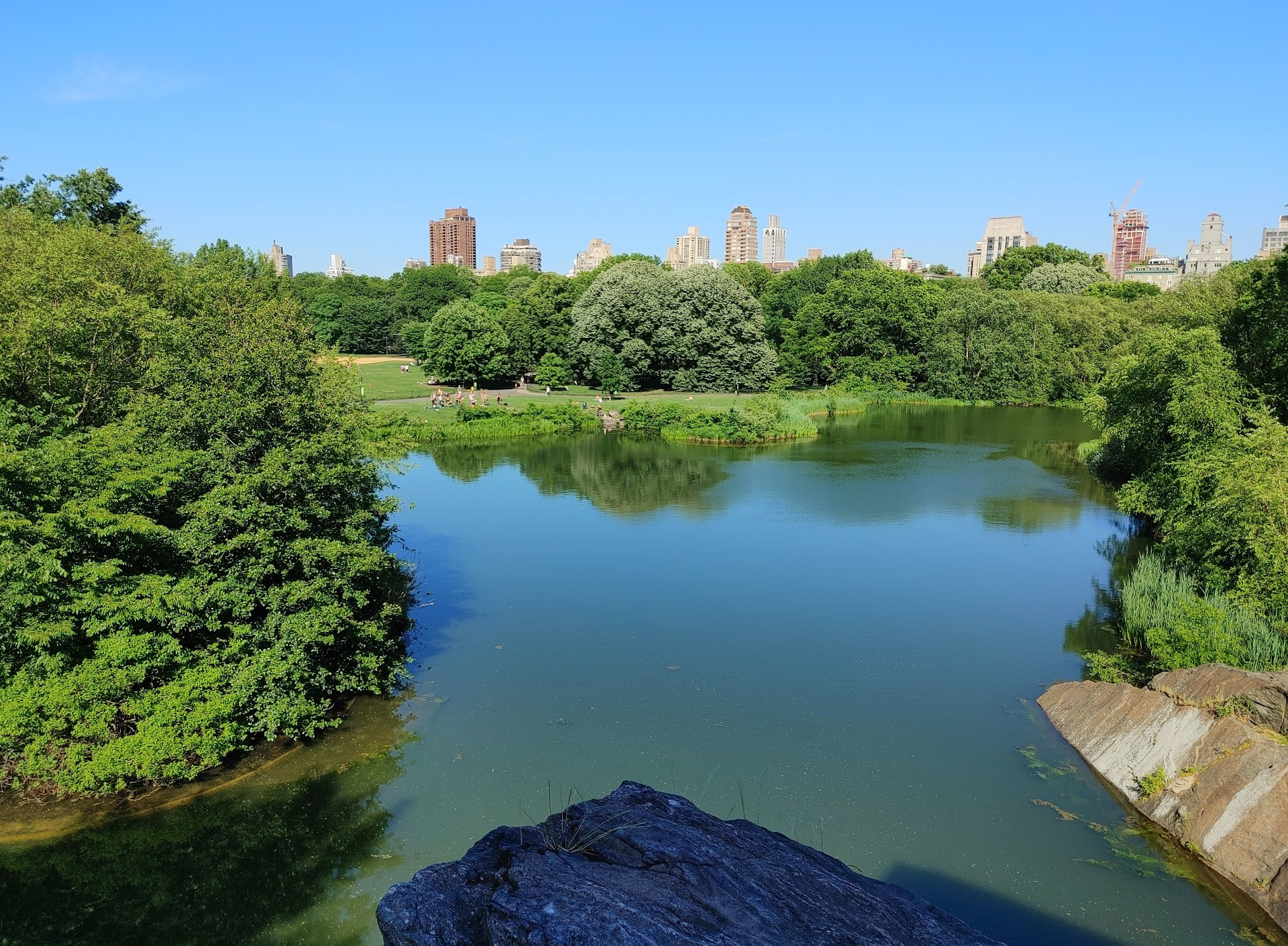 El estanque de tortugas de Central Park