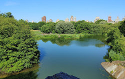 O Lago da Tartaruga do Central Park
